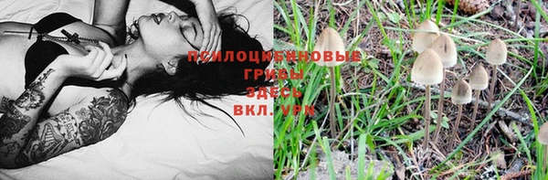 мяу мяу мука Алексеевка