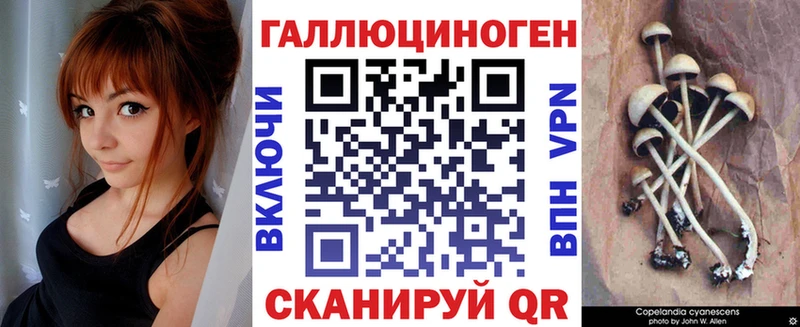 мега ссылка  Сафоново  Псилоцибиновые грибы мухоморы 